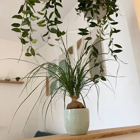 شقة Cocon Douillet Pres De La Gare. نانسي