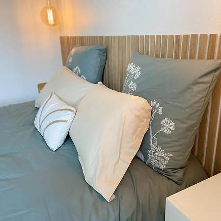 Cocon Douillet Pres De La Gare. نانسي