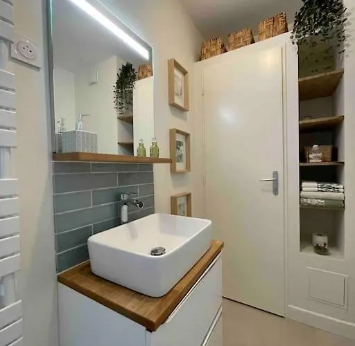 Cocon Douillet Pres De La Gare. 낭시