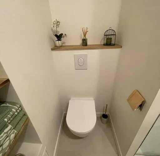 Апартаменты Cocon Douillet Pres De La Gare. Нанси