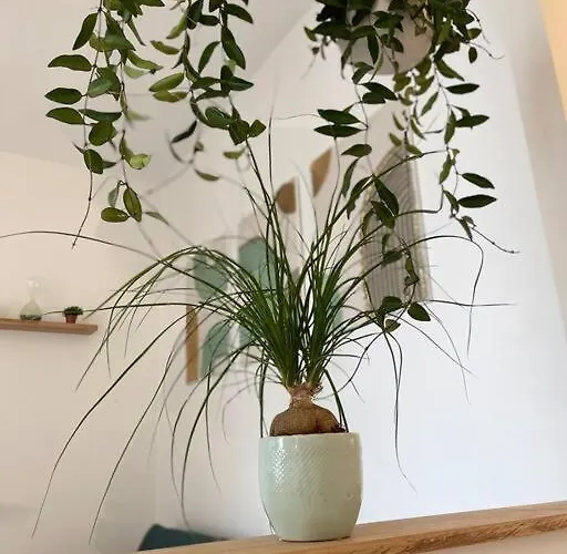 아파트 Cocon Douillet Pres De La Gare. 낭시